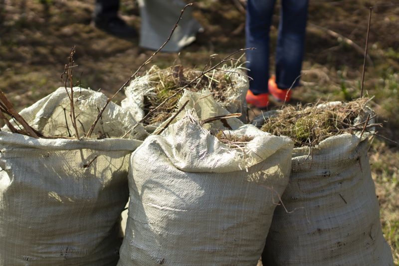 Junk Removal Service detail